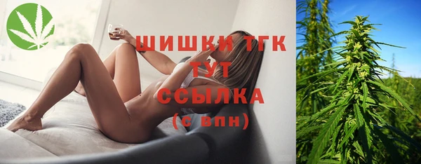 сатива Пролетарск