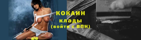 сатива Пролетарск
