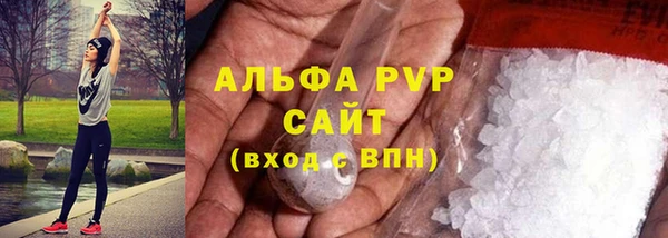 сатива Пролетарск